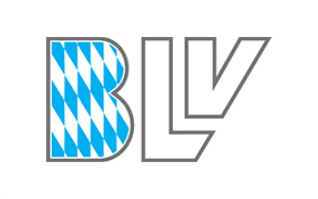 Beitrag BLV – TTC-Stabhochsprung-Festival 2025 setzt nochmal neue Maßstäbe